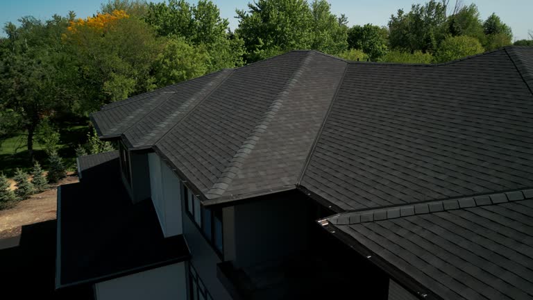 Best Steel Roofing  in Wilder, KY